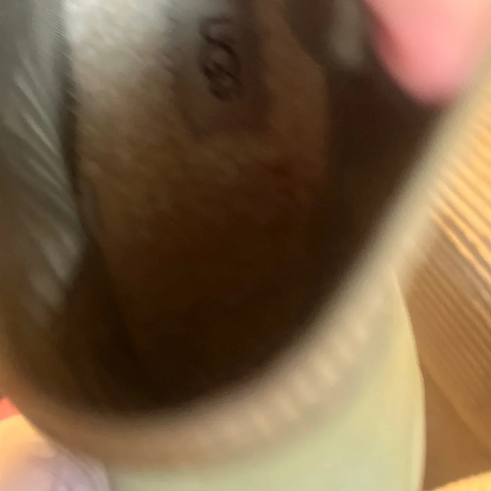 UGG Women's Chevonne Rain Boots -  Olive Green Size 9 NWOB - Picture 11 of 11